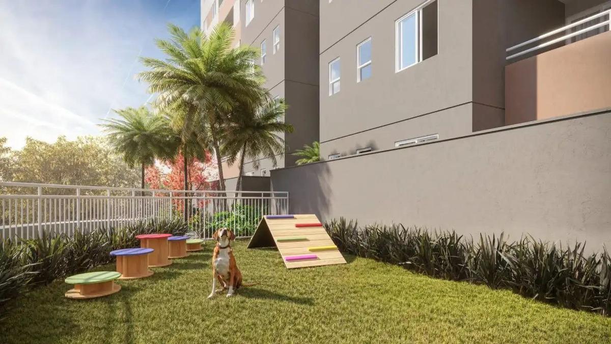 Apartamento, Santa Amélia, 3 Quartos, 2 Vagas, 1 Suíte