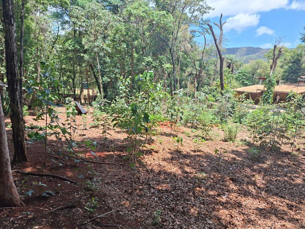 Lote, Casa Branca, 0 Quarto, 0 Vaga