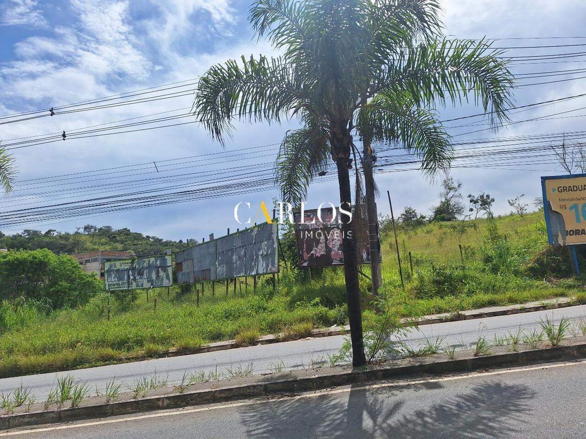 Lote, Cidade Verde
