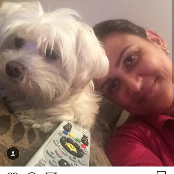 Cachorrinha Desaparecida em Contagem