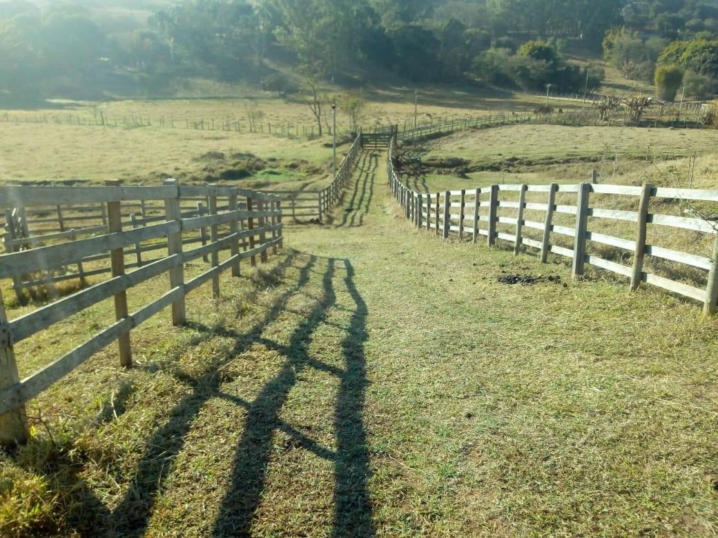 Fazenda, Centro, 1 Quarto, 1 Vaga, 1 Suíte