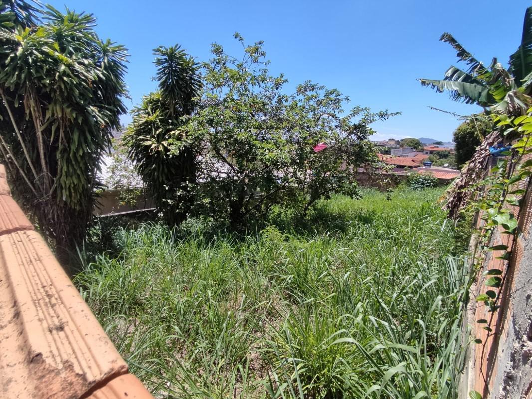 Lote, Santa Cruz, 0 Quarto, 0 Vaga