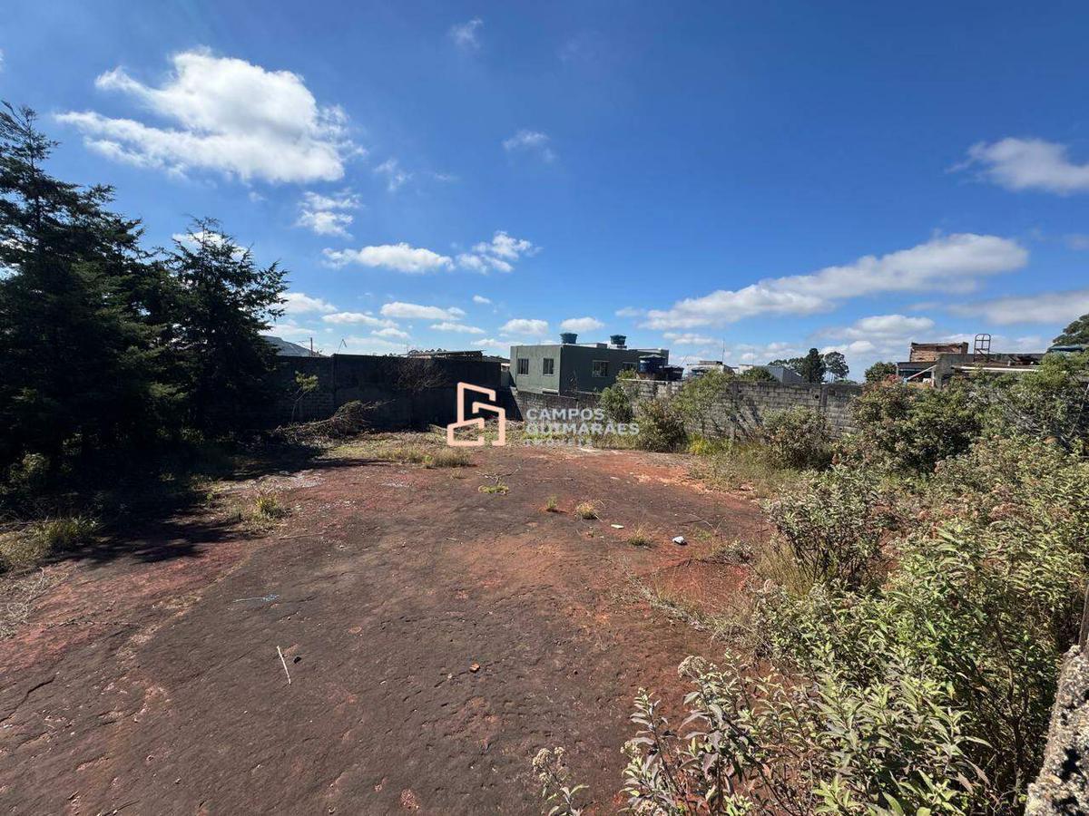 Lote, Jardim Canadá