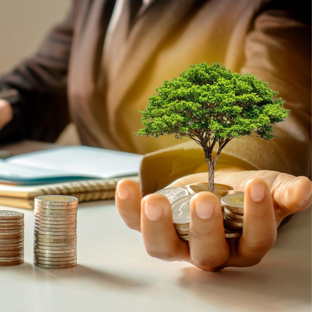 Lote, Bom Retiro, 0 Quarto, 0 Vaga