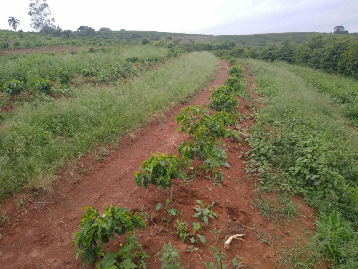 Fazenda, Zona Rural, 3 Quartos, 3 Vagas