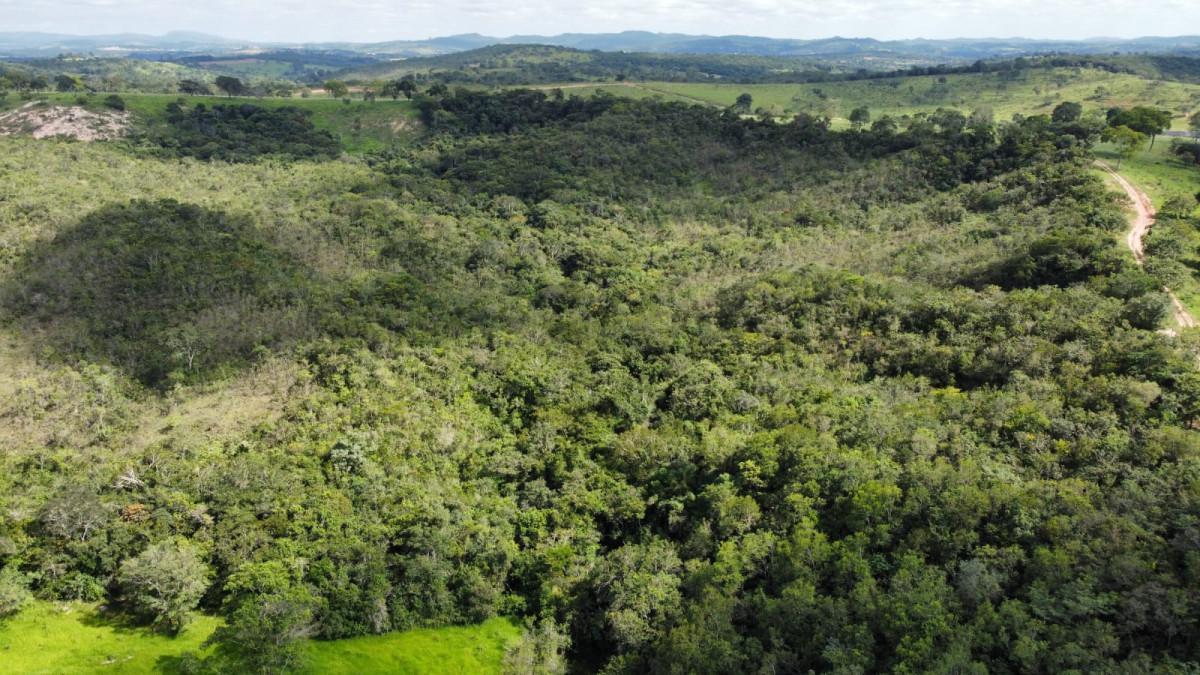 Fazenda, Centro, 0 Quarto, 0 Vaga