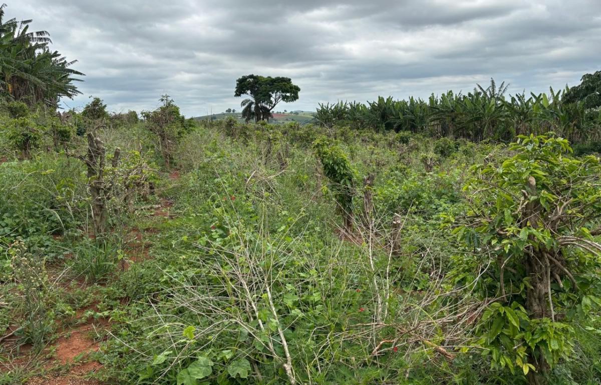 Fazenda, Zona Rural, 0 Quarto, 0 Vaga