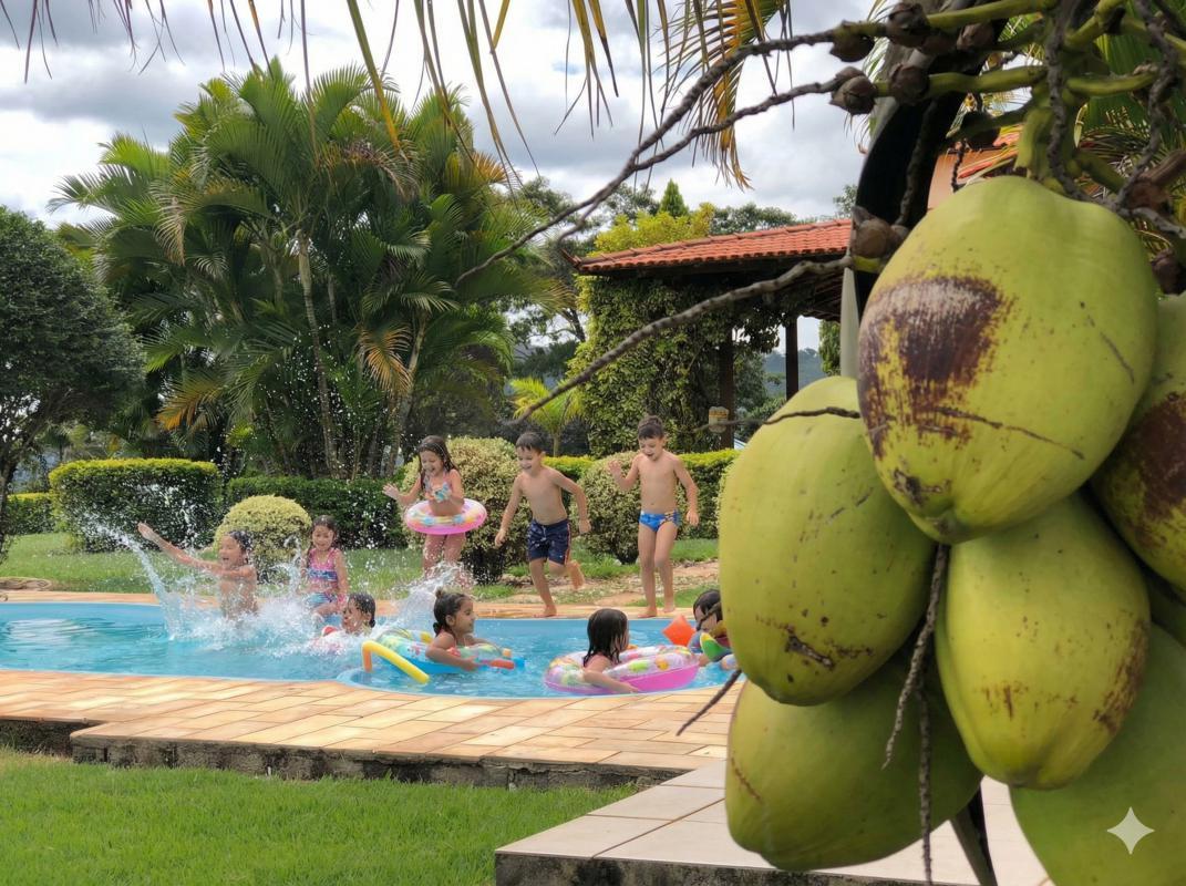 Fazenda, Centro, 3 Quartos, 10 Vagas, 1 Suíte