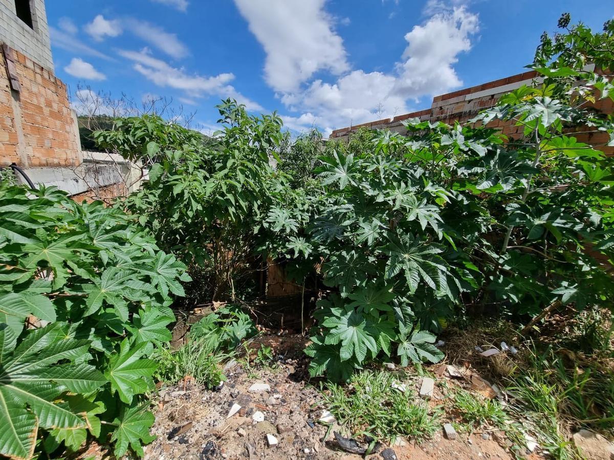 Lote, Palmeiras, 0 Quarto, 0 Vaga