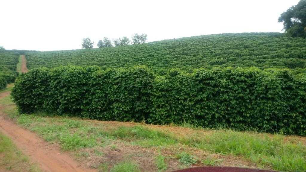 Fazenda, Centro, 3 Quartos, 1 Vaga, 1 Suíte