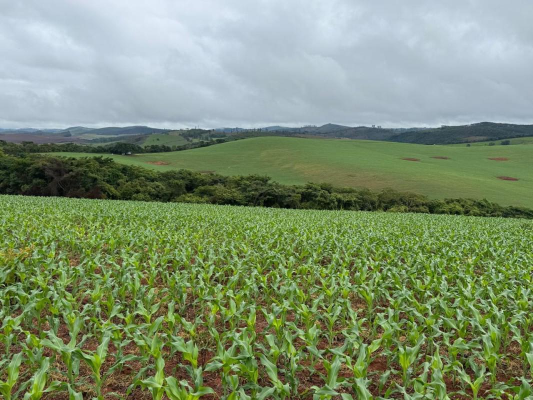 Fazenda, Zona Rural, 0 Quarto, 0 Vaga