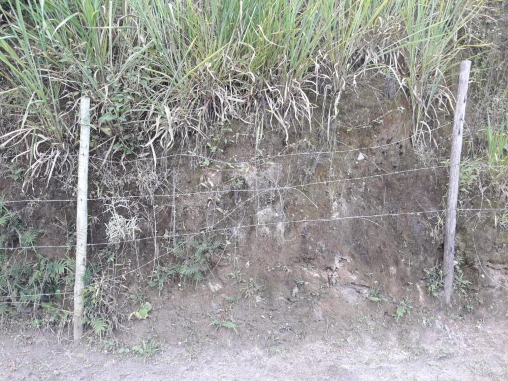 Lote, Morro São Francisco, 0 Quarto, 0 Vaga