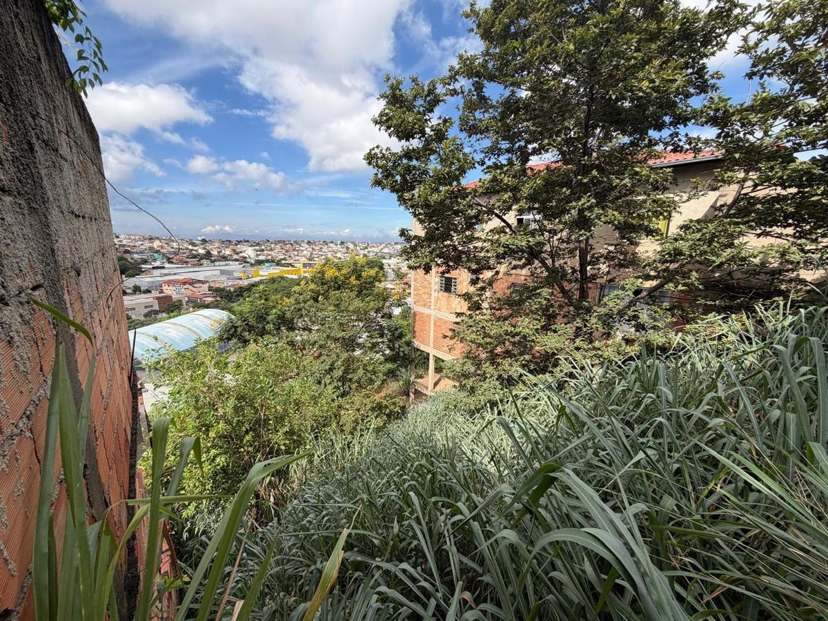 Lote, Tropical, 0 Quarto, 0 Vaga