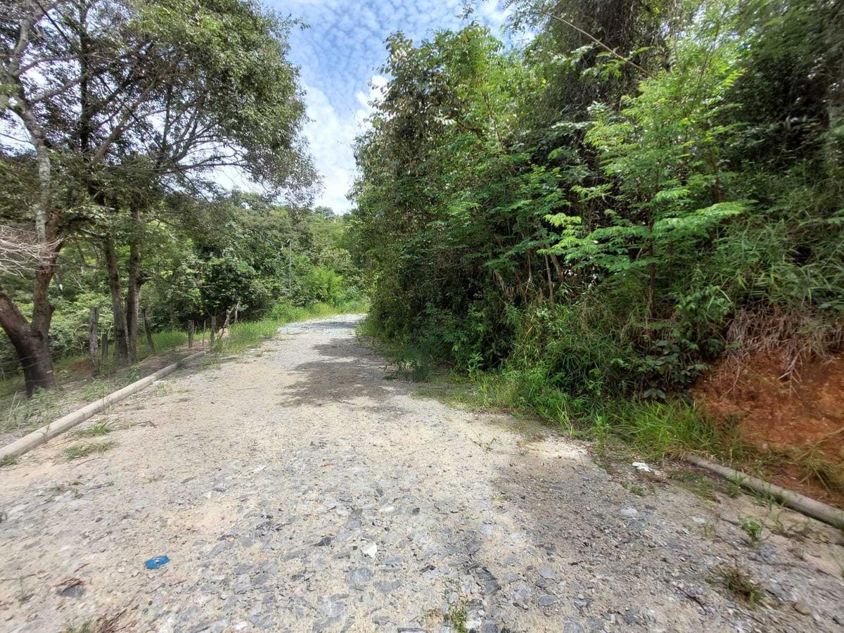 Lote, Bonanza, 0 Quarto, 0 Vaga