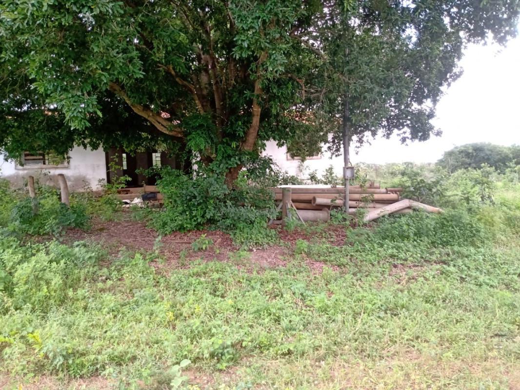 Fazenda, Zona Rural, 0 Quarto, 0 Vaga
