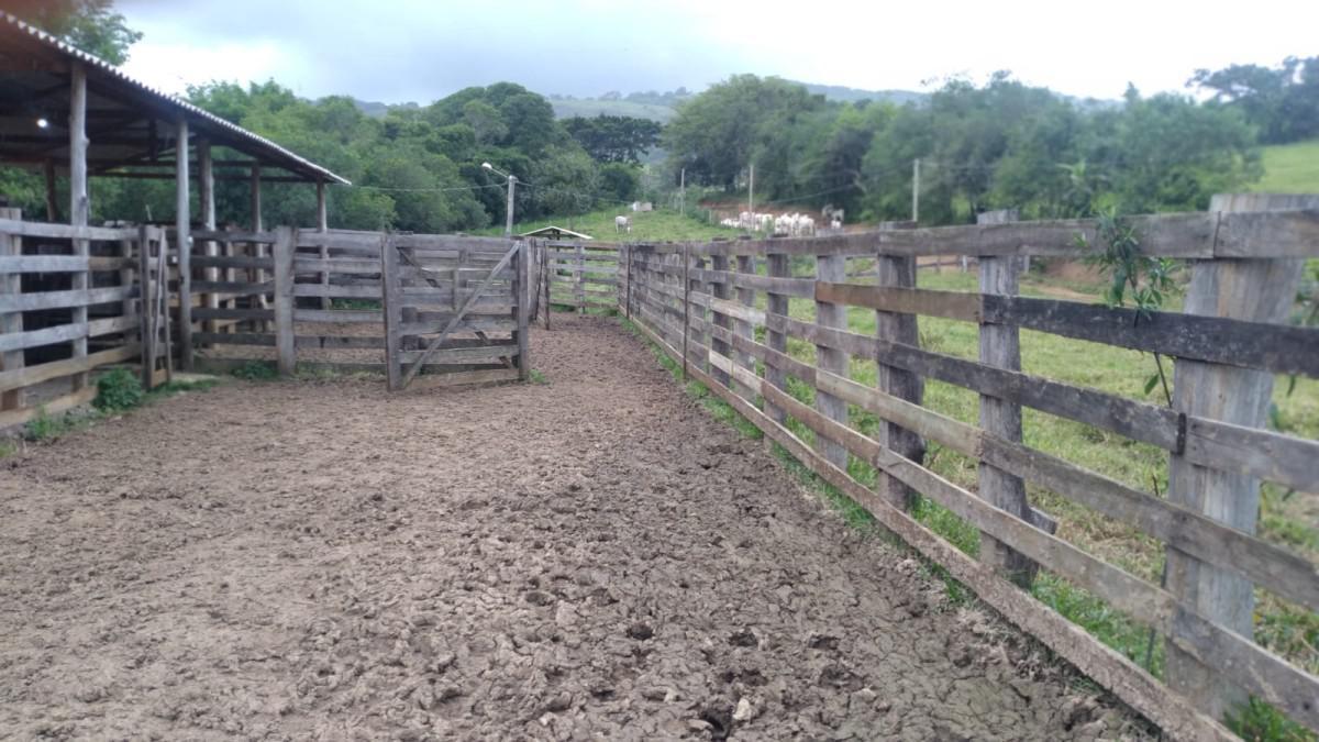 Fazenda, Zona Rural, 0 Quarto, 0 Vaga