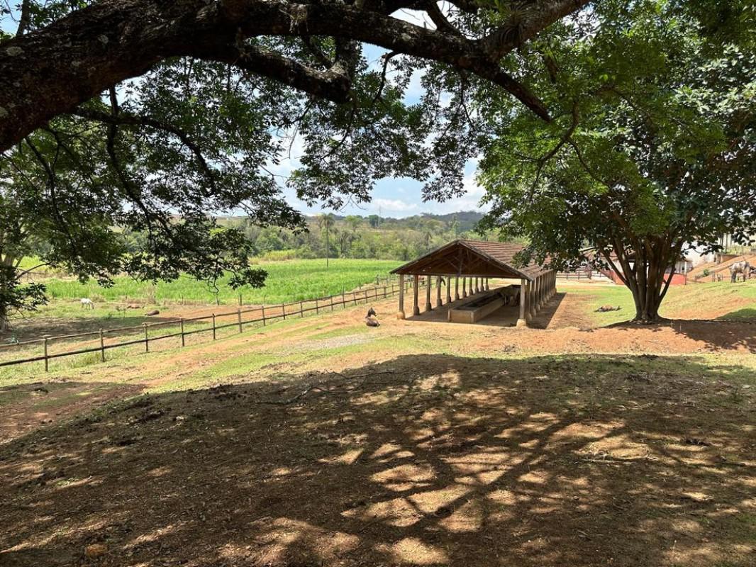 Fazenda, Zona Rural, 4 Quartos, 0 Vaga