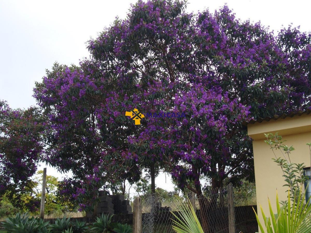 Casa, Tavares, 4 Quartos, 15 Vagas, 2 Suítes