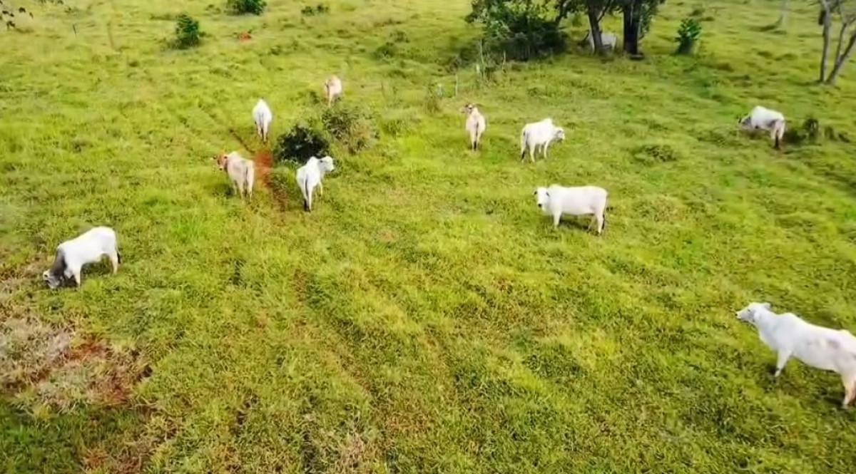 Fazenda, Zona Rural, 0 Quarto, 0 Vaga