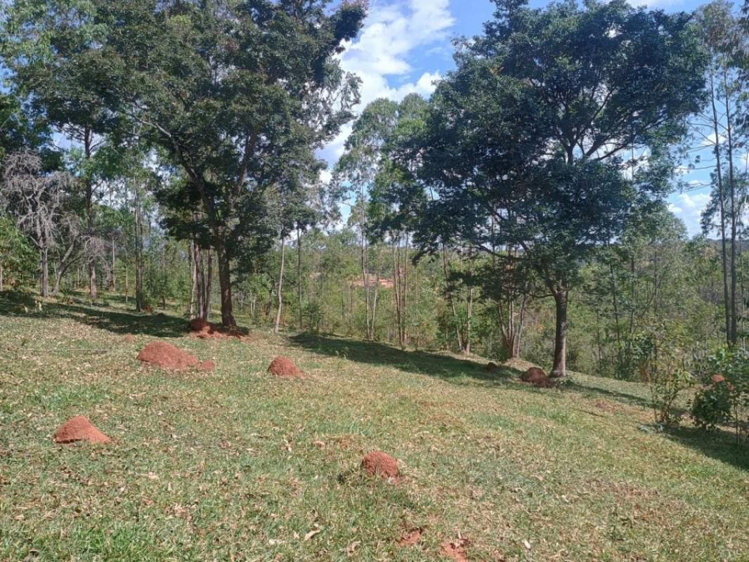 Lote, Centro, 0 Quarto, 0 Vaga
