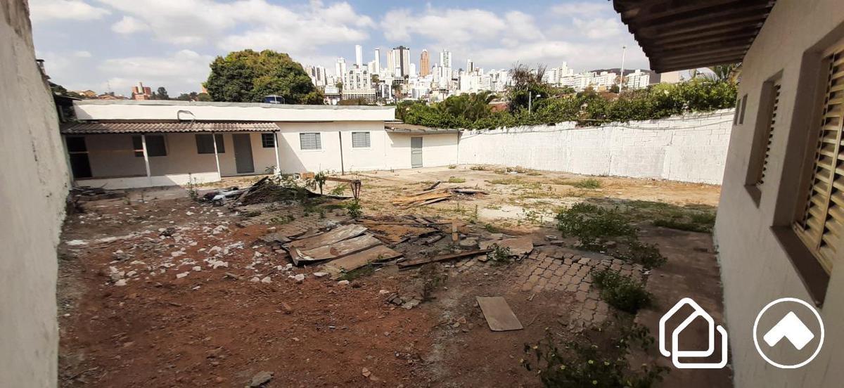 Lote, Palmeiras