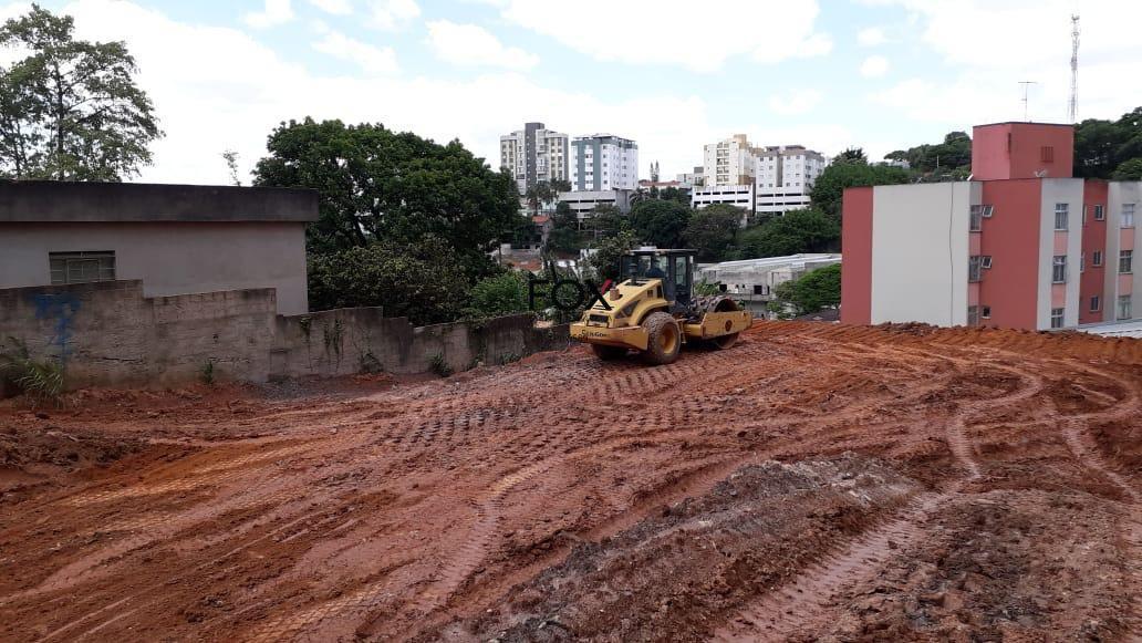 Lote, Palmeiras, 0 Quarto, 0 Vaga