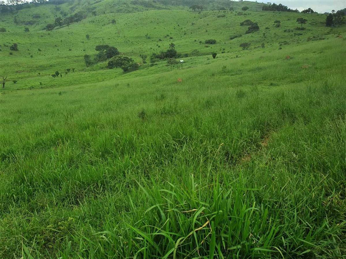 Fazenda, Zona Rural, 4 Quartos, 0 Vaga