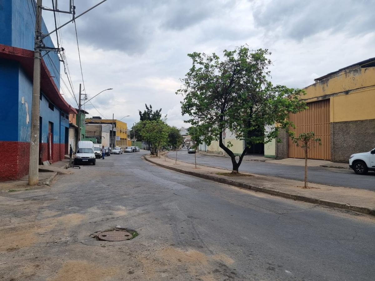 Andar, Vera Cruz, 0 Quarto, 0 Vaga