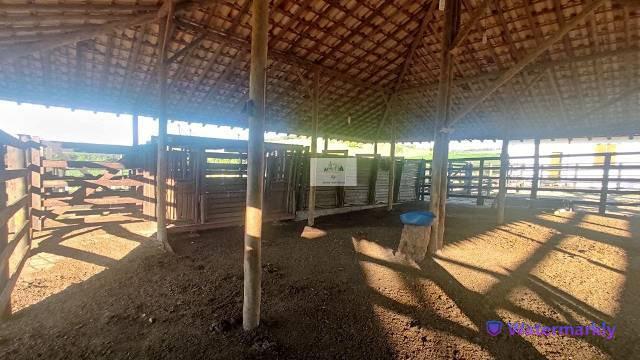 Fazenda, Centro, 5 Quartos, 2 Vagas