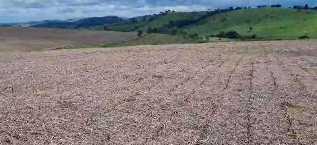 Fazenda, Zona Rural, 3 Quartos, 0 Vaga