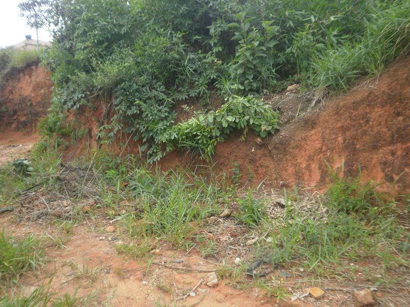 Lote, Icaivera, 0 Quarto, 0 Vaga