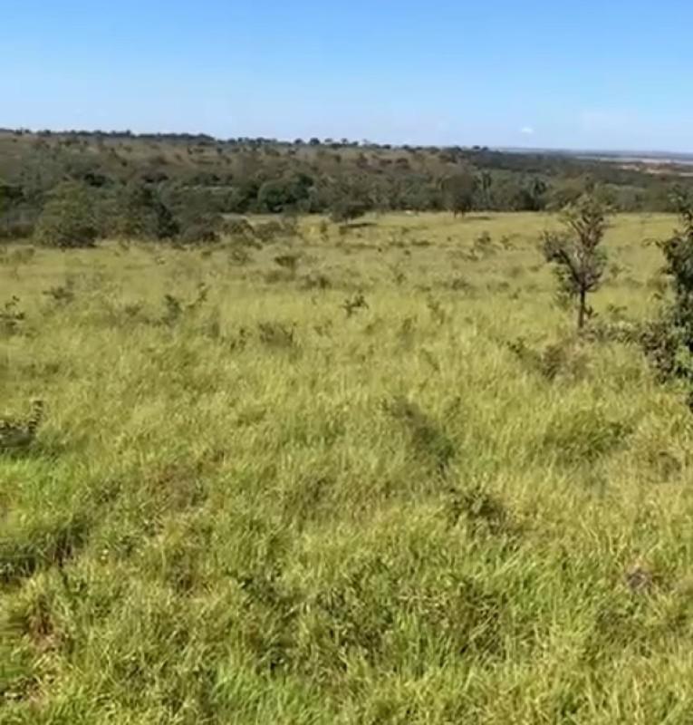 Fazenda, Zona Rural, 0 Quarto, 0 Vaga