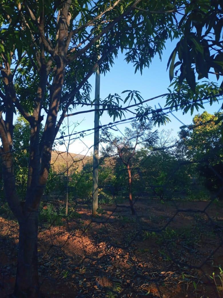 Lote, Zona Rural, 0 Quarto, 0 Vaga