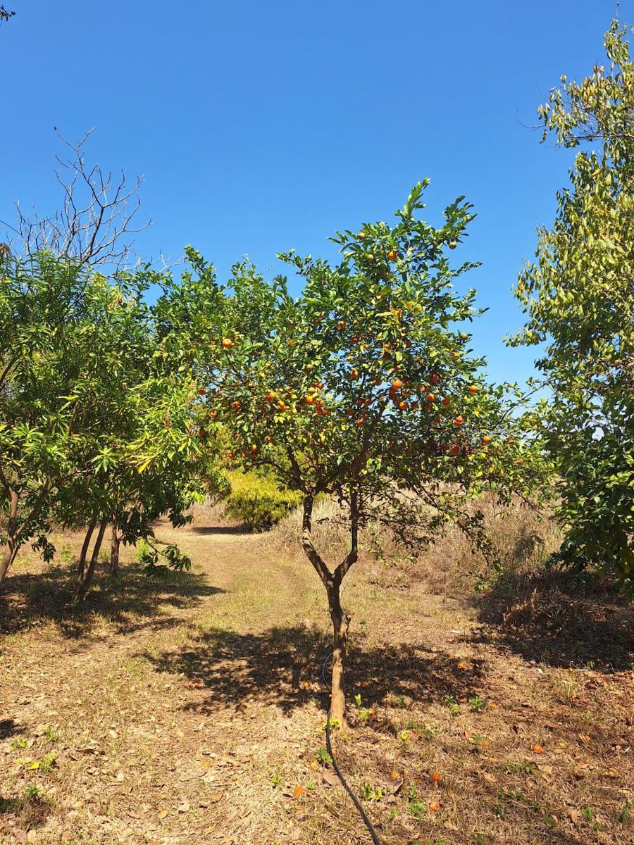 Fazenda, Centro, 4 Quartos, 10 Vagas, 2 Suítes