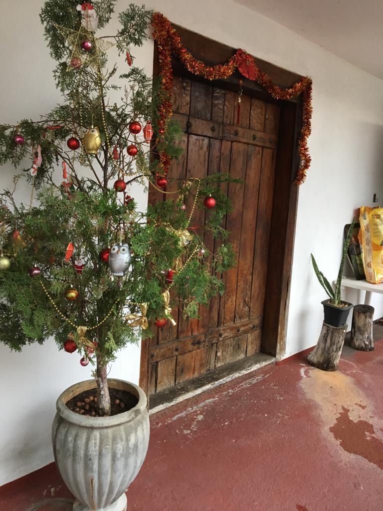 Casa, Arvoredo, 4 Quartos, 4 Vagas, 1 Suíte