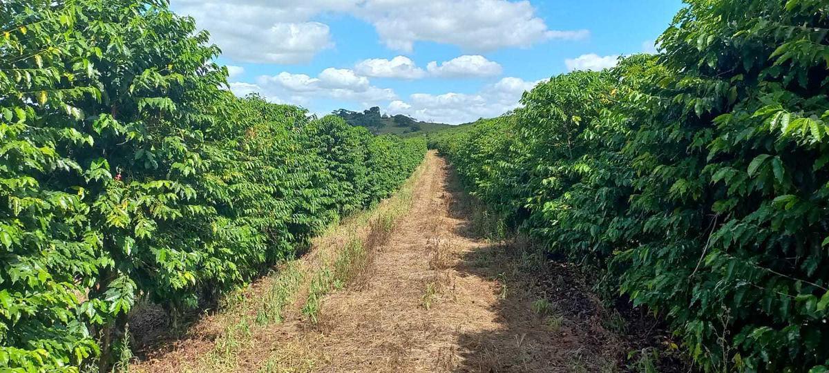 Fazenda, Zona Rural, 4 Quartos, 0 Vaga