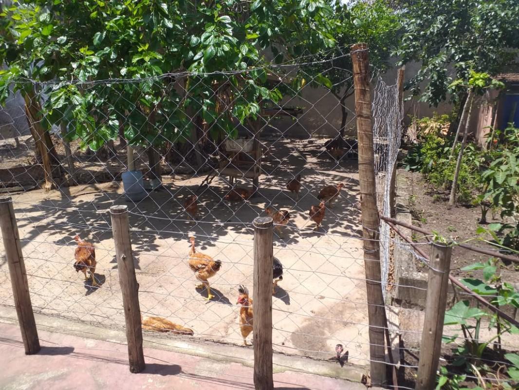 Fazenda, Tropeiros, 3 Quartos, 6 Vagas, 1 Suíte