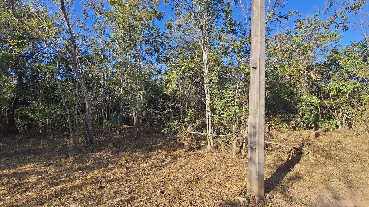 Lote, Ravena, 0 Quarto, 0 Vaga