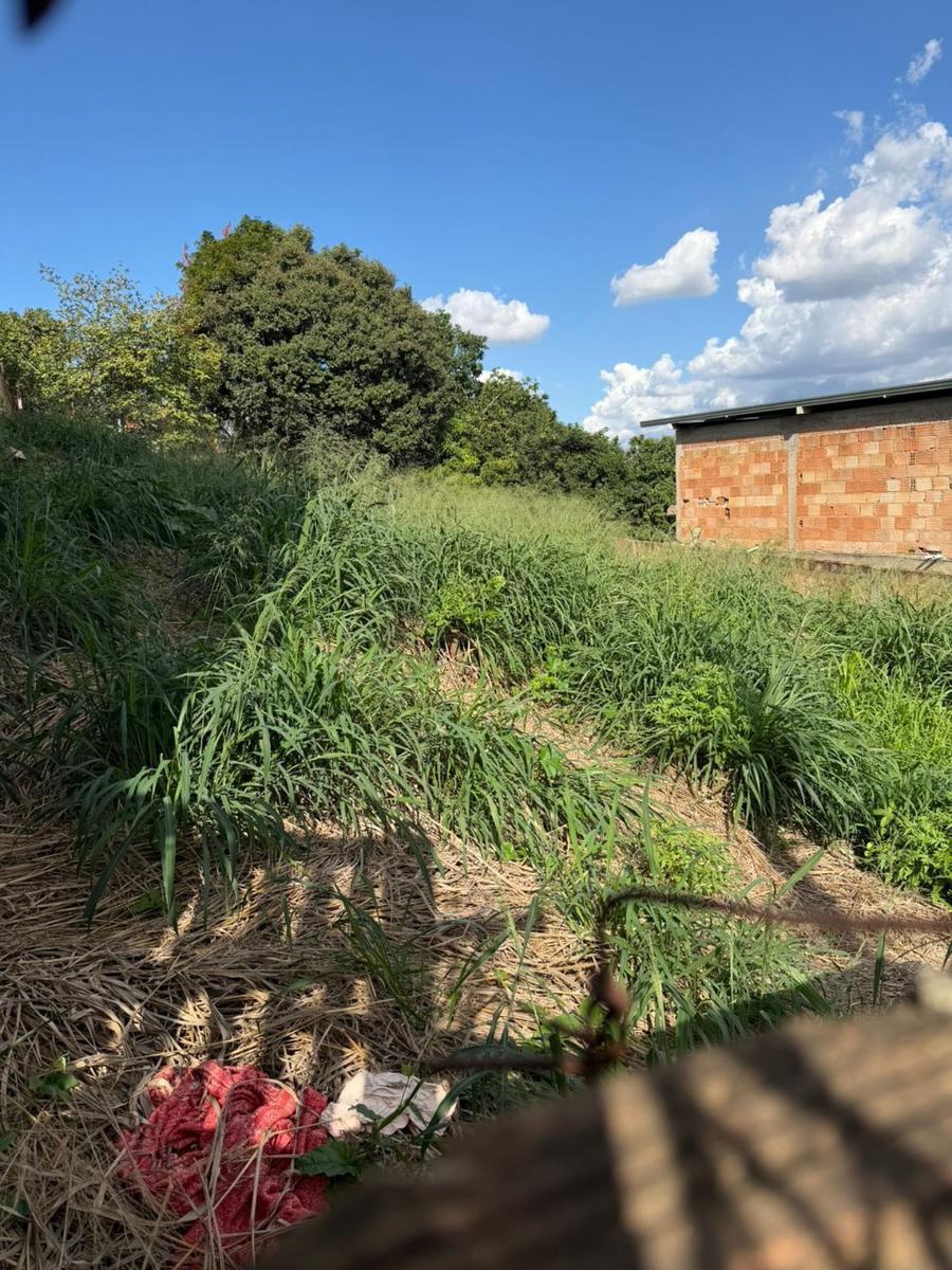 Lote, Tropical, 0 Quarto, 0 Vaga