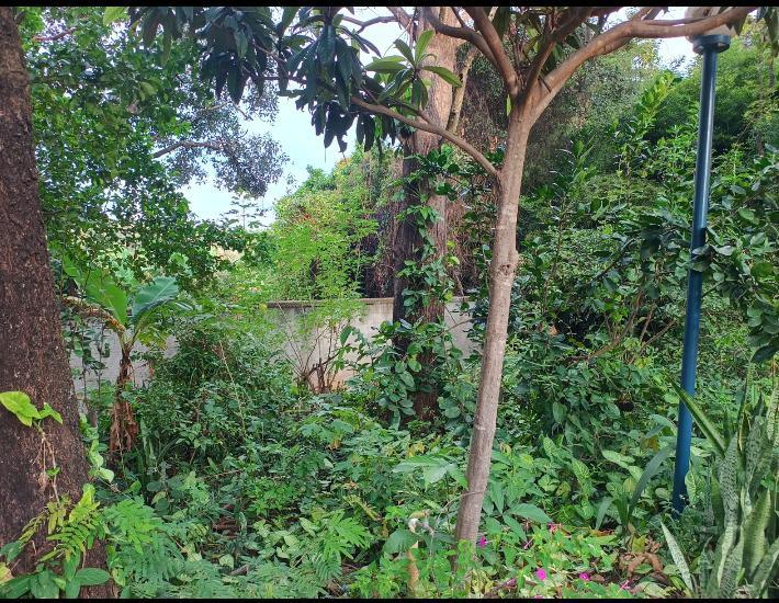 Lote, Granja Vista Alegre, 0 Quarto, 0 Vaga