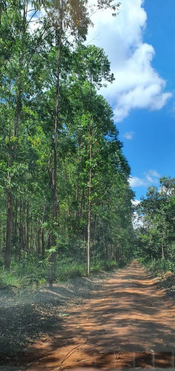 Fazenda, Centro, 4 Quartos, 1 Vaga