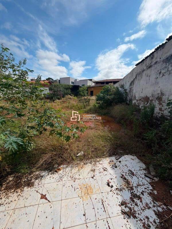 Lote, Teixeira Dias