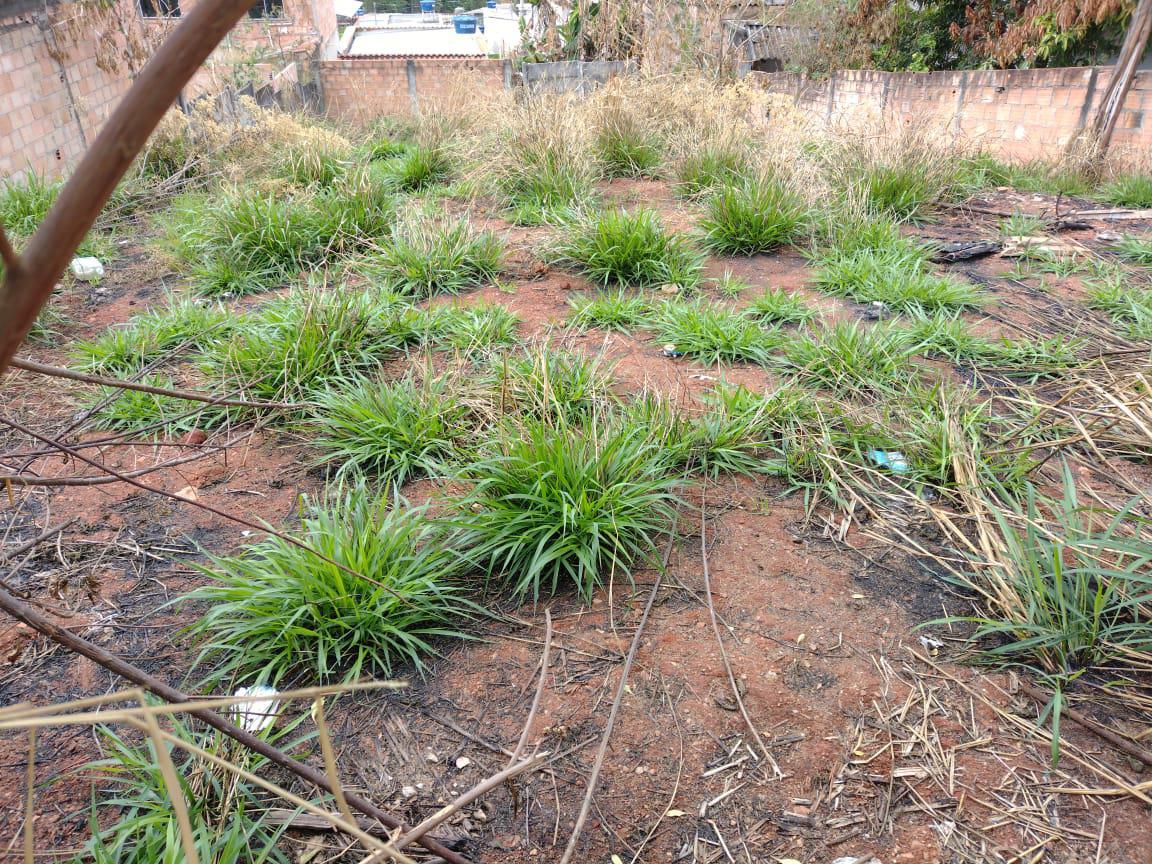 Lote, Icaivera, 0 Quarto, 0 Vaga