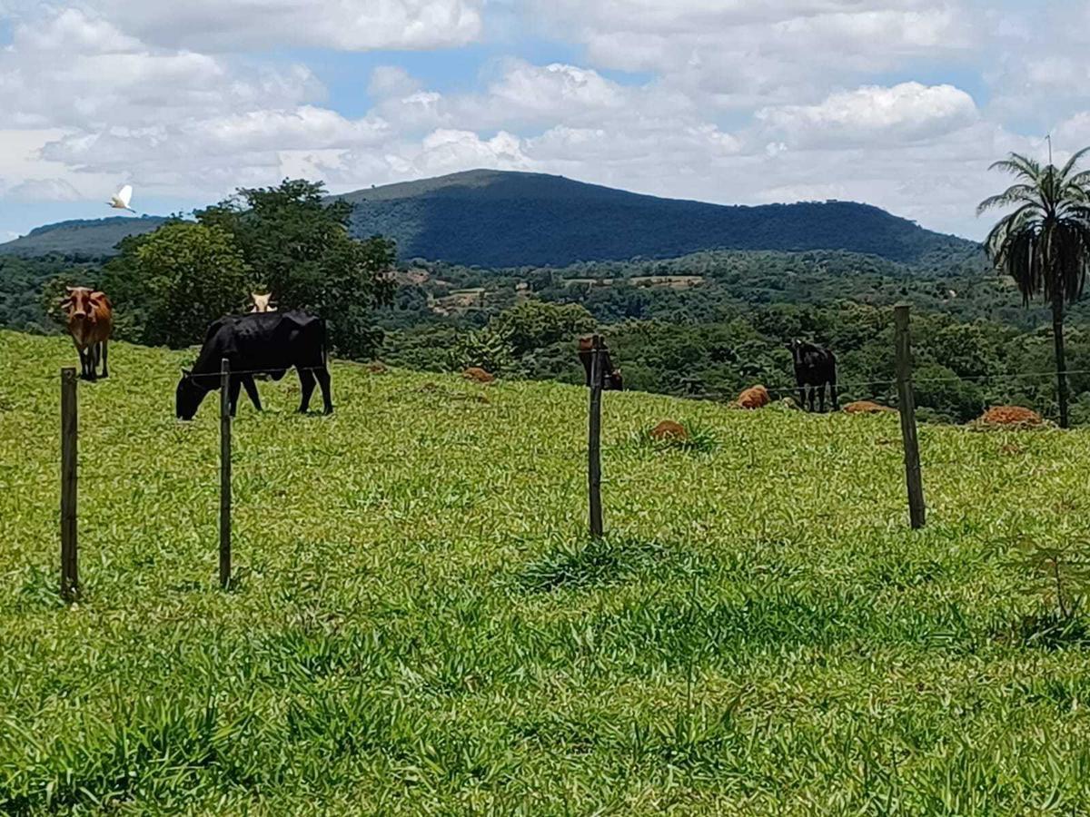 Fazenda, Urucuia, 3 Quartos, 0 Vaga, 1 Suíte