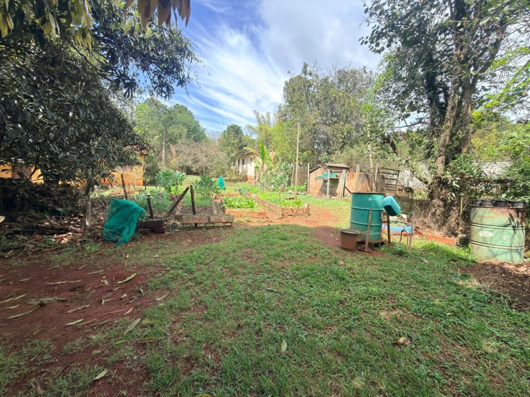 Lote, Lagoa do Miguelão, 0 Quarto, 0 Vaga