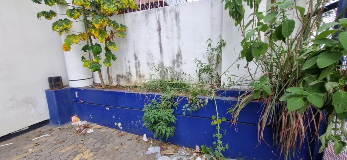 Galpão, Prado, 0 Quarto, 5 Vagas