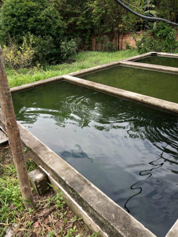 Fazenda, Jardim Rosario, 4 Quartos, 20 Vagas, 1 Suíte