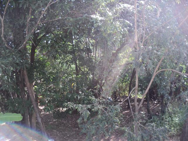 Lote, Novo Retiro, 0 Quarto, 0 Vaga