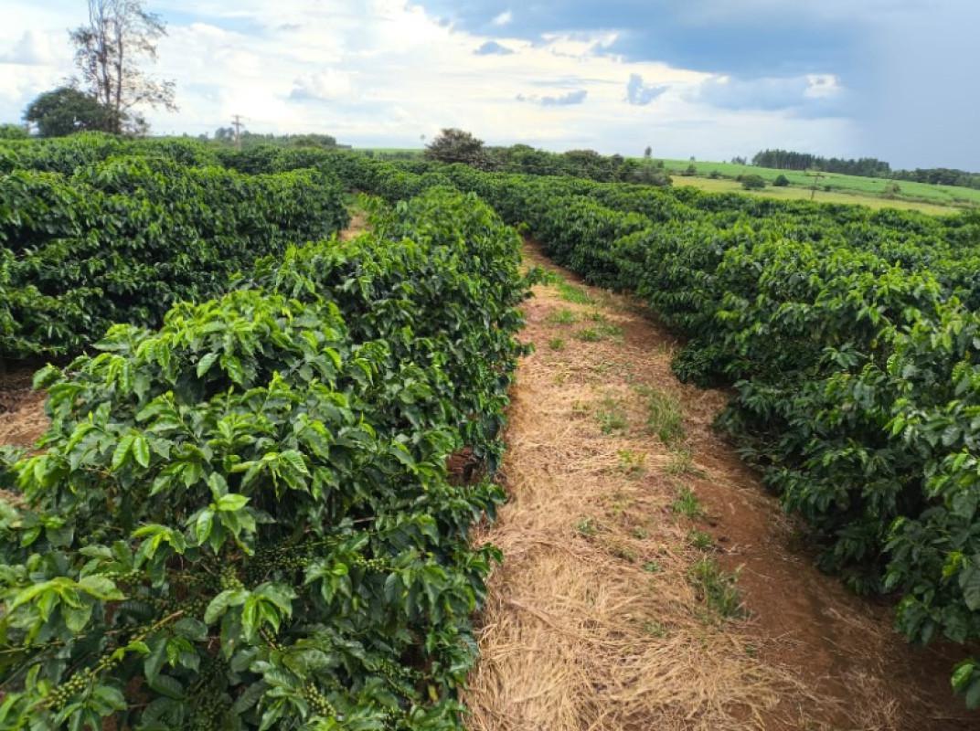 Fazenda, Zona Rural, 0 Quarto, 0 Vaga