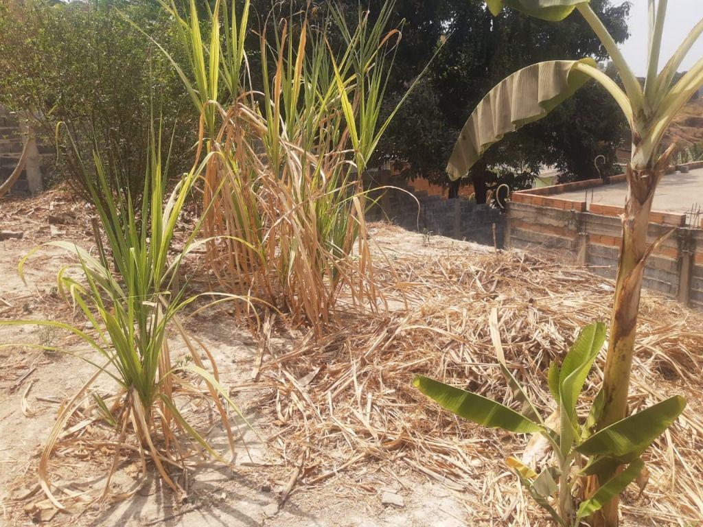 Lote, Nossa Senhora de Fátima, 0 Quarto, 0 Vaga